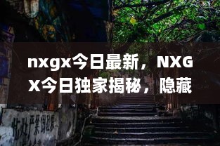 NXGX独家探秘，隐藏在小巷的特色小店，体验别样人间烟火