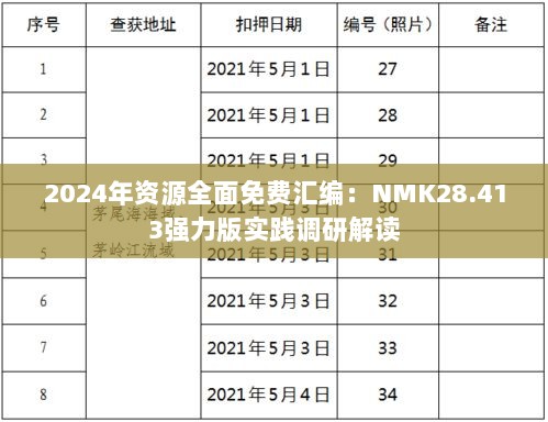 2024年资源全面免费汇编：NMK28.413强力版实践调研解读