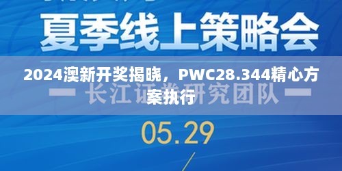 2024澳新开奖揭晓，PWC28.344精心方案执行