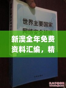 新澳全年免费资料汇编，精细策略决策指南_RBK28.343闪耀版