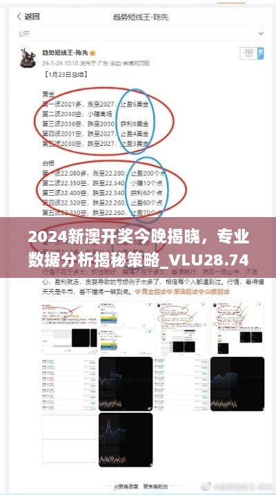 2024新澳开奖今晚揭晓，专业数据分析揭秘策略_VLU28.745升级版