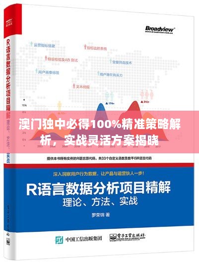 澳门独中必得100%精准策略解析，实战灵活方案揭晓