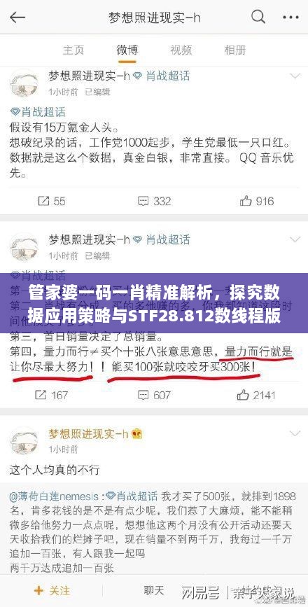 管家婆一码一肖精准解析，探究数据应用策略与STF28.812数线程版关联