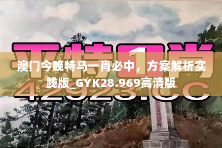 澳门今晚特马一肖必中，方案解析实践版_GYK28.969高清版