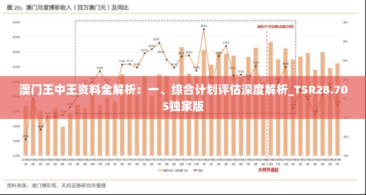 澳门王中王资料全解析：一、综合计划评估深度解析_TSR28.705独家版