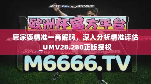 管家婆精准一肖解码，深入分析精准评估_UMV28.280正版授权