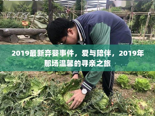 2019年弃婴事件，爱与陪伴的寻亲之旅