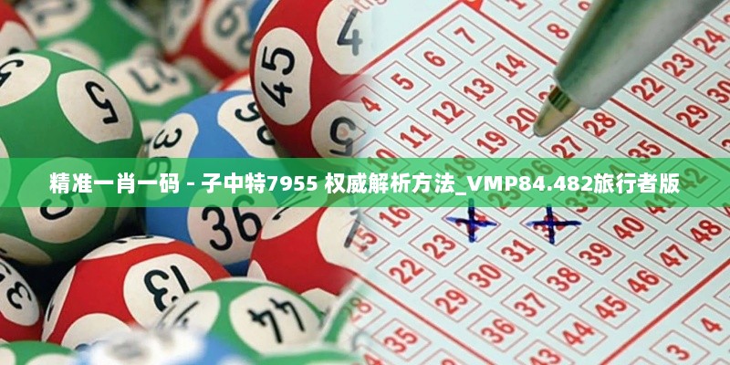 精准一肖一码 - 子中特7955 权威解析方法_VMP84.482旅行者版