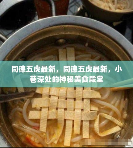 同德五虎，小巷深处的神秘美食殿堂最新动态