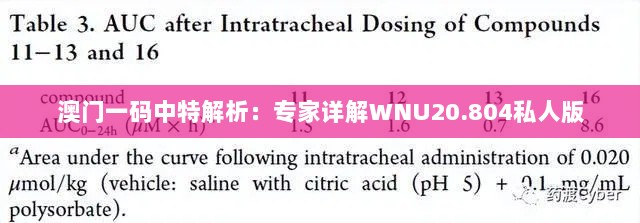 澳门一码中特解析：专家详解WNU20.804私人版