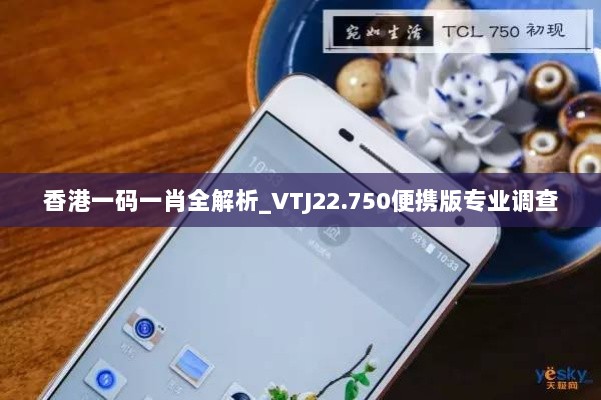 香港一码一肖全解析_VTJ22.750便携版专业调查