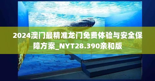 2024澳门最精准龙门免费体验与安全保障方案_NYT28.390亲和版