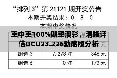 王中王100%期望澳彩，清晰评估OCU23.226动感版分析