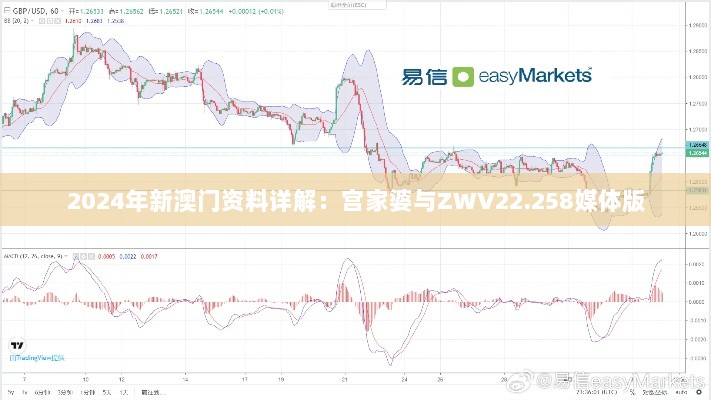 2024年新澳门资料详解：宫家婆与ZWV22.258媒体版