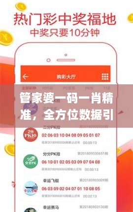 管家婆一码一肖精准，全方位数据引导枕_FWU32.997互动版