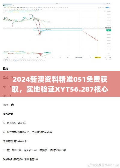 2024新澳资料精准051免费获取，实地验证XYT56.287核心策略