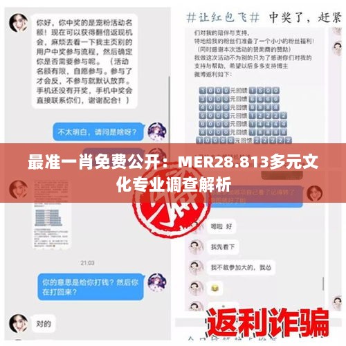 最准一肖免费公开：MER28.813多元文化专业调查解析