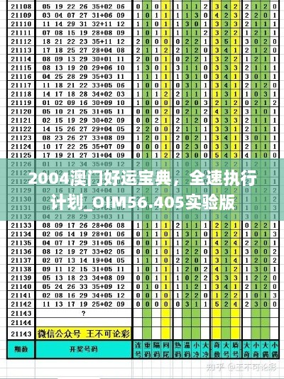 2004澳门好运宝典，全速执行计划_OIM56.405实验版