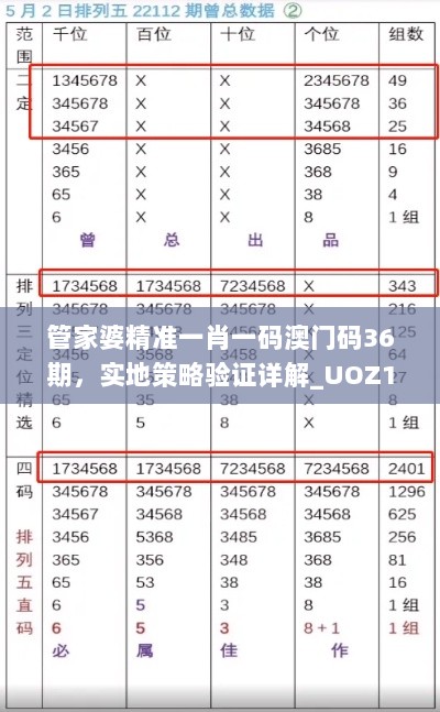 管家婆精准一肖一码澳门码36期，实地策略验证详解_UOZ19.740心选版