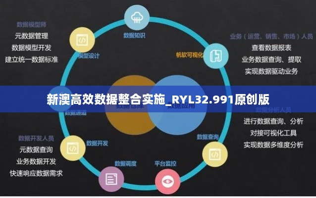 新澳高效数据整合实施_RYL32.991原创版