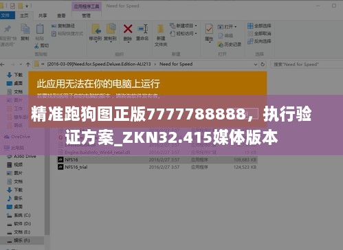 精准跑狗图正版7777788888，执行验证方案_ZKN32.415媒体版本