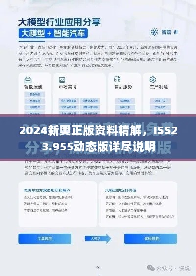 2024新奥正版资料精解，ISS23.955动态版详尽说明