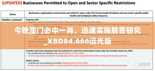 今晚澳门必中一肖，迅速实施解答研究_XBD84.666远光版