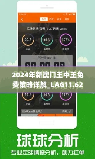 2024年新澳门王中王免费策略详解_LAG11.623紧凑版