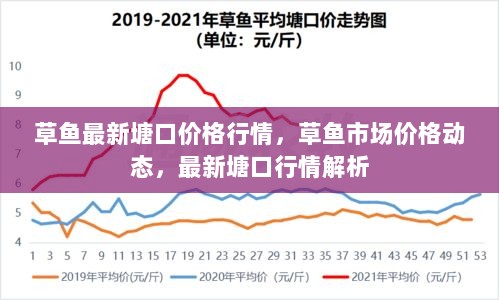 2024年11月15日 第17页