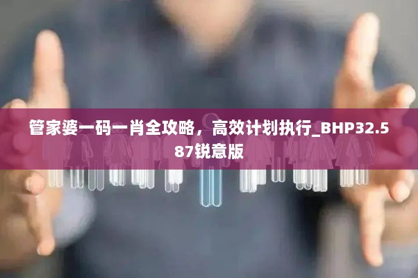 管家婆一码一肖全攻略，高效计划执行_BHP32.587锐意版