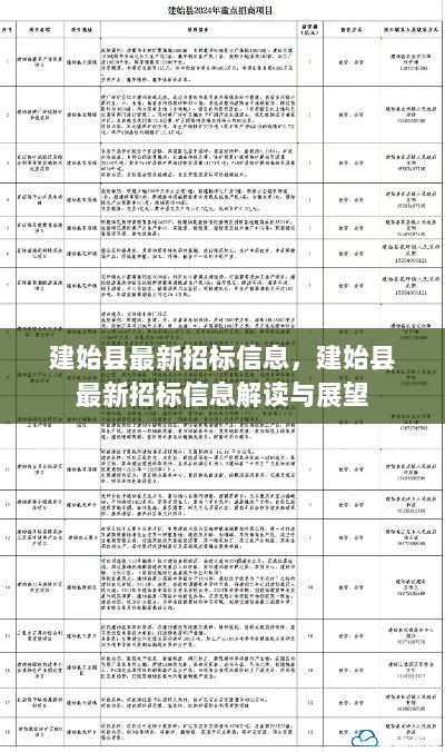 建始县最新招标信息解读与展望