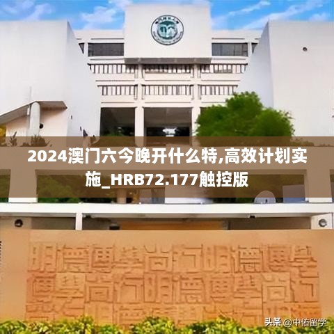 2024年11月15日 第5页