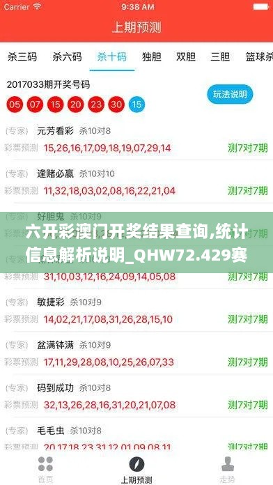 六开彩澳门开奖结果查询,统计信息解析说明_QHW72.429赛博版