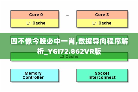 四不像今晚必中一肖,数据导向程序解析_YGI72.862VR版