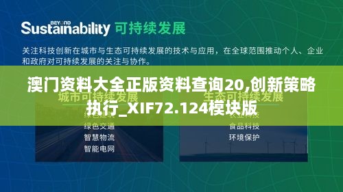 澳门资料大全正版资料查询20,创新策略执行_XIF72.124模块版