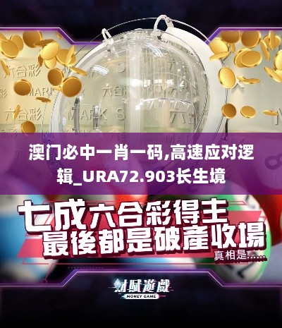 澳门必中一肖一码,高速应对逻辑_URA72.903长生境