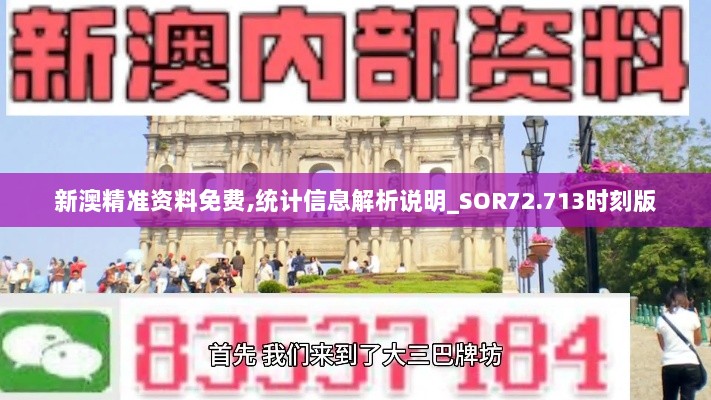 新澳精准资料免费,统计信息解析说明_SOR72.713时刻版