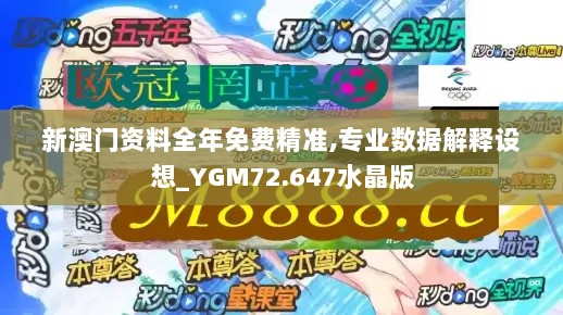 新澳门资料全年免费精准,专业数据解释设想_YGM72.647水晶版