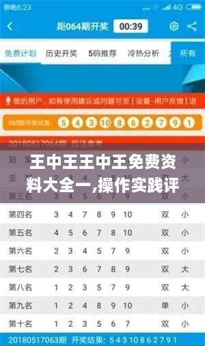 王中王王中王免费资料大全一,操作实践评估_WOF72.473商务版