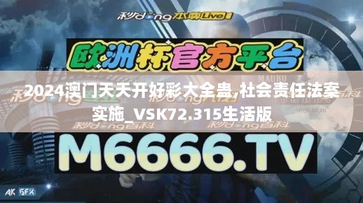 2024澳门天天开好彩大全蛊,社会责任法案实施_VSK72.315生活版