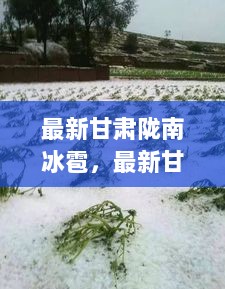 甘肃陇南冰雹灾害，影响与应对策略