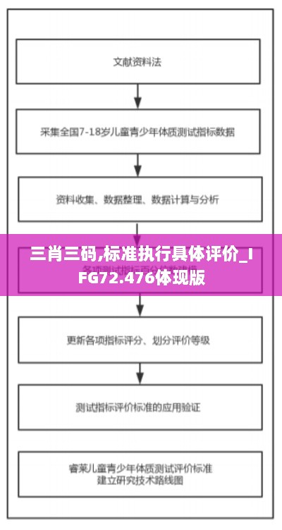 三肖三码,标准执行具体评价_IFG72.476体现版