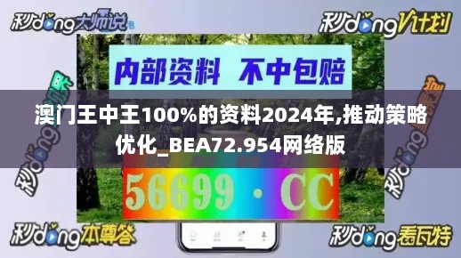 澳门王中王100%的资料2024年,推动策略优化_BEA72.954网络版