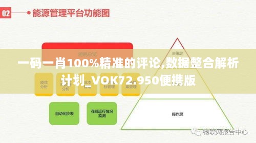 一码一肖100%精准的评论,数据整合解析计划_VOK72.950便携版