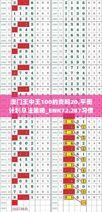 澳门王中王100的资料20,平衡计划息法策略_ENK72.287习惯版