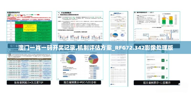 澳门一肖一码开奖记录,机制评估方案_RFG72.342影像处理版