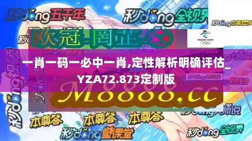 一肖一码一必中一肖,定性解析明确评估_YZA72.873定制版