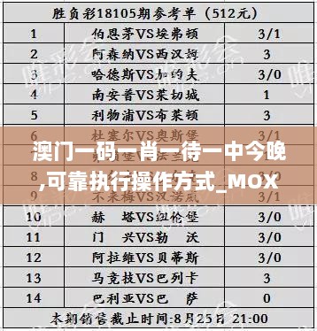 澳门一码一肖一待一中今晚,可靠执行操作方式_MOX72.906实验版