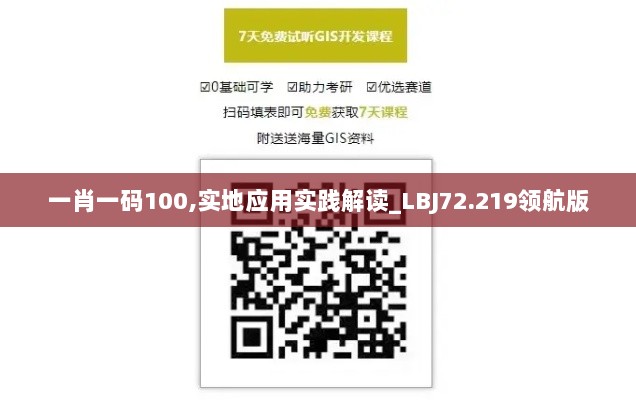 一肖一码100,实地应用实践解读_LBJ72.219领航版