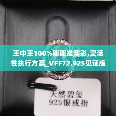 王中王100%期期准澳彩,灵活性执行方案_VFF72.925见证版